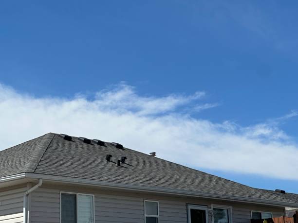 Hot Roofs in San Francisco, CA